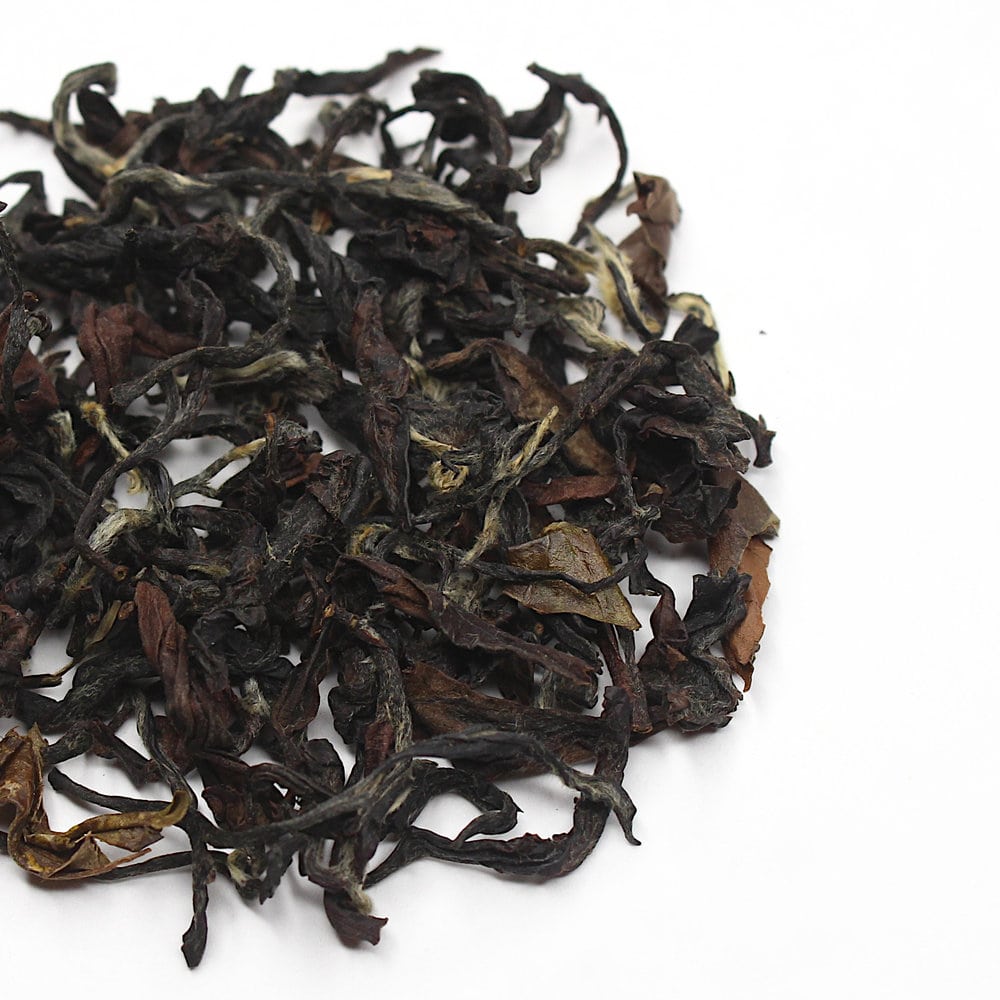 Дун Фан Мей Жень, Наньтоу, весна 2025