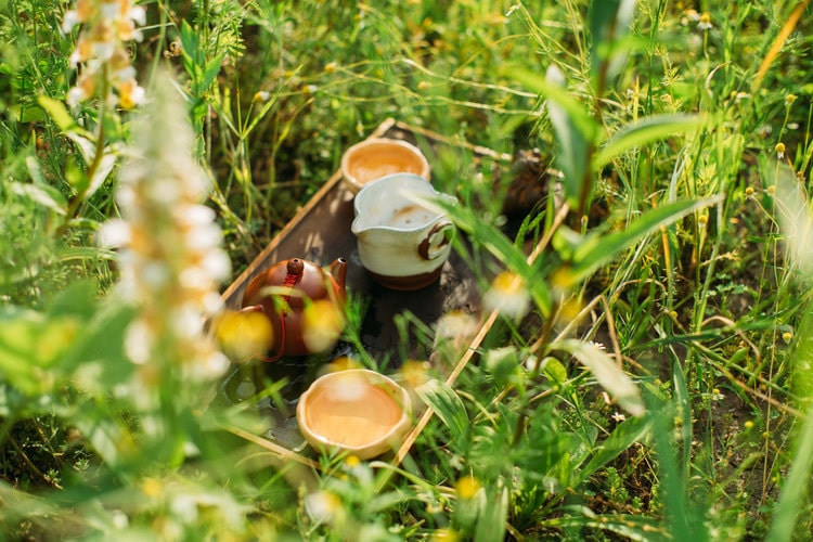 Чай як мистецтво, яким оволодівають через дисципліну