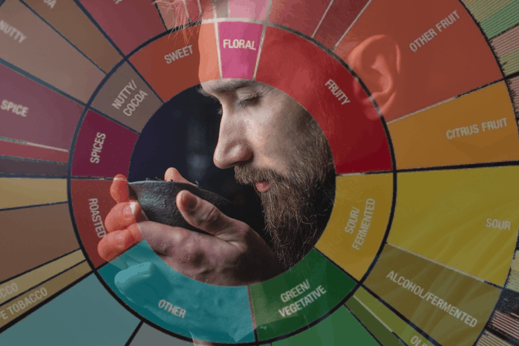 Колесо дескрипторів чаю: як стандарти індустрії підміняють твій реальний досвід