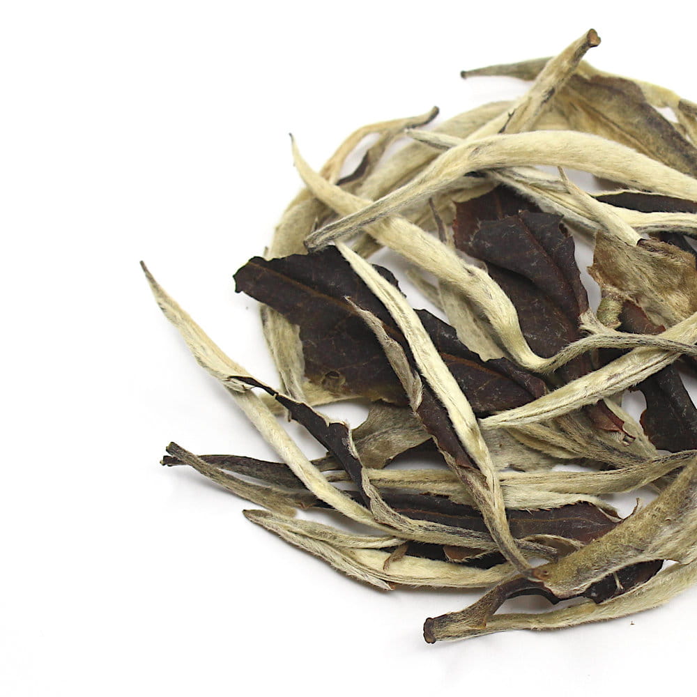 Цзингу Юе Гуан Бай, Юньнань, весна 2024