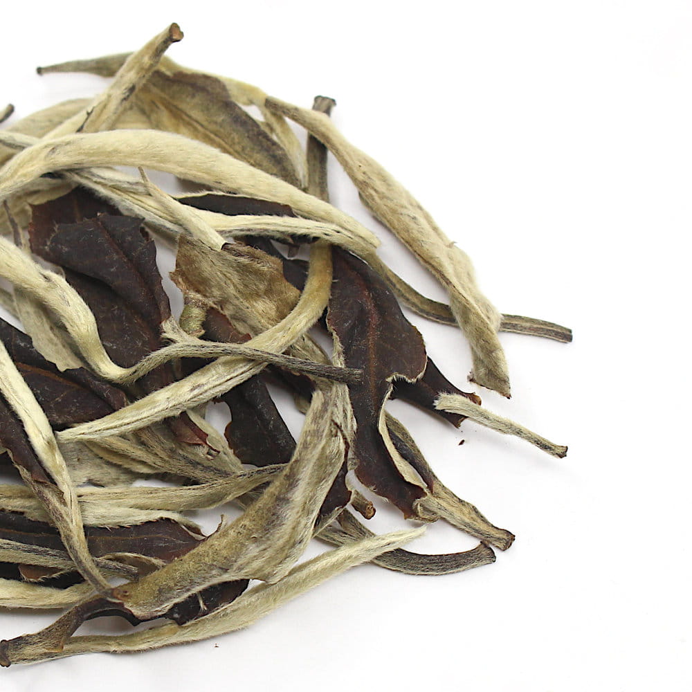 Цзингу Юе Гуан Бай, Юньнань, весна 2024