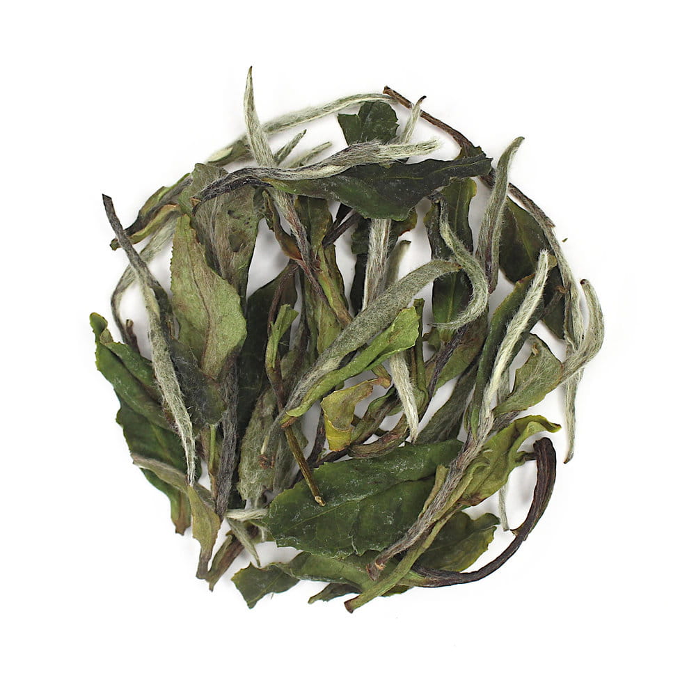 Да Бай Му Дань І Цзи, Фудін, весна 2025