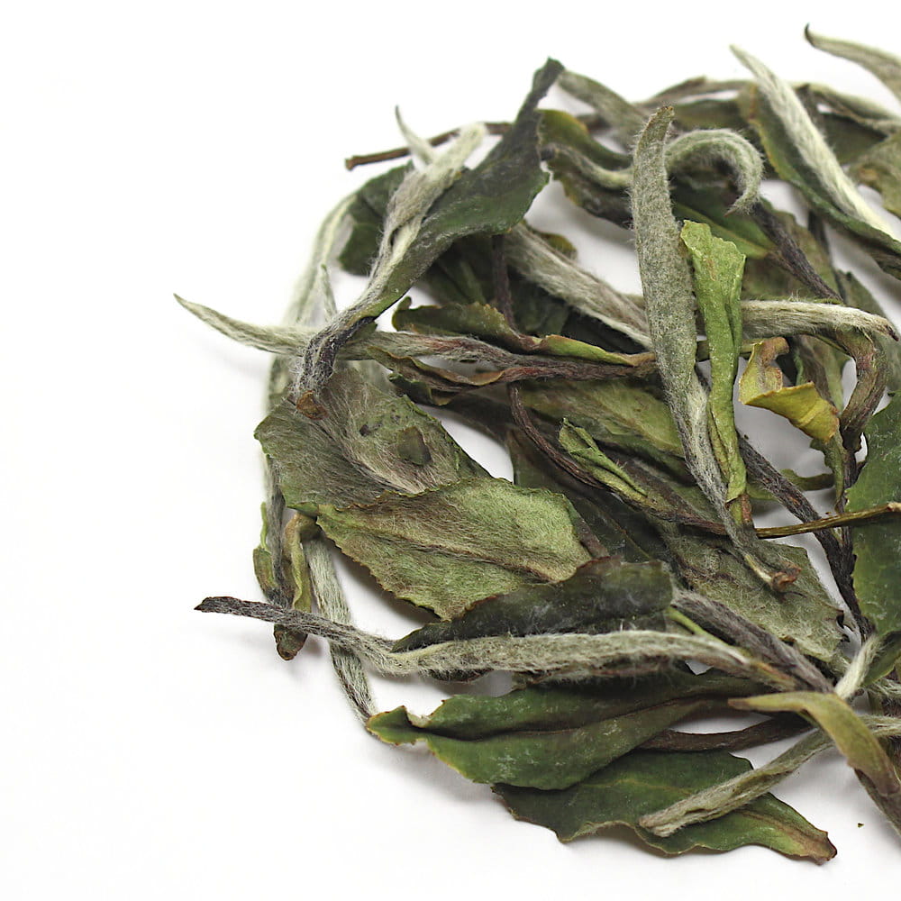 Да Бай Му Дань І Цзи, Фудін, весна 2025