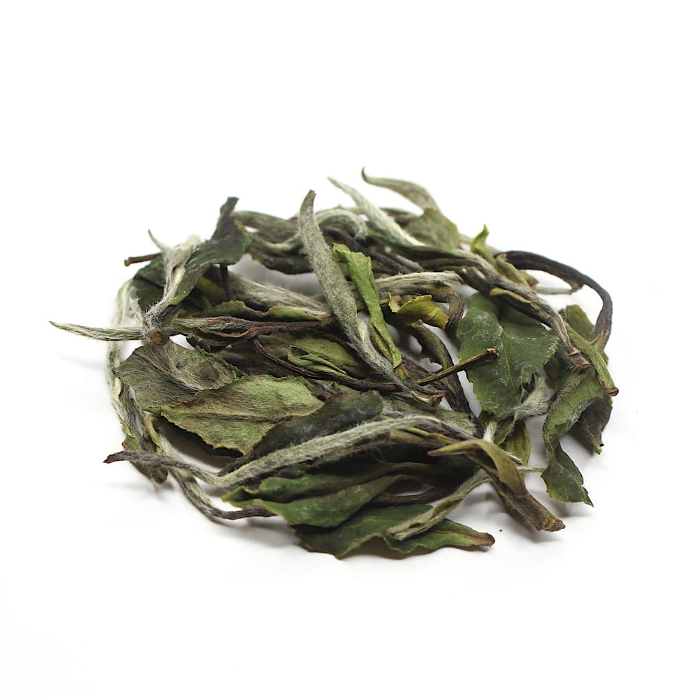 Да Бай Му Дань І Цзи, Фудін, весна 2025