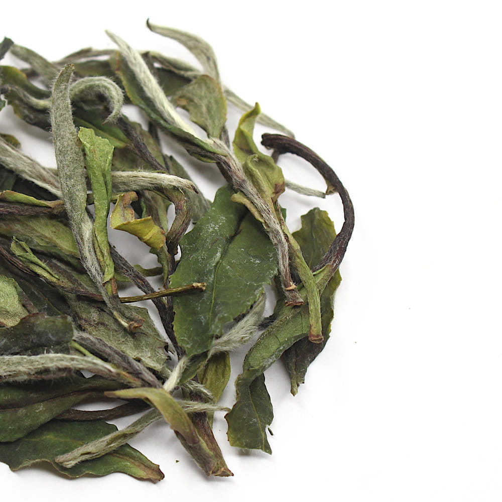 Да Бай Му Дань І Цзи, Фудін, весна 2025